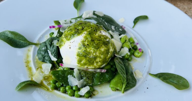 Green summer salad burrata
