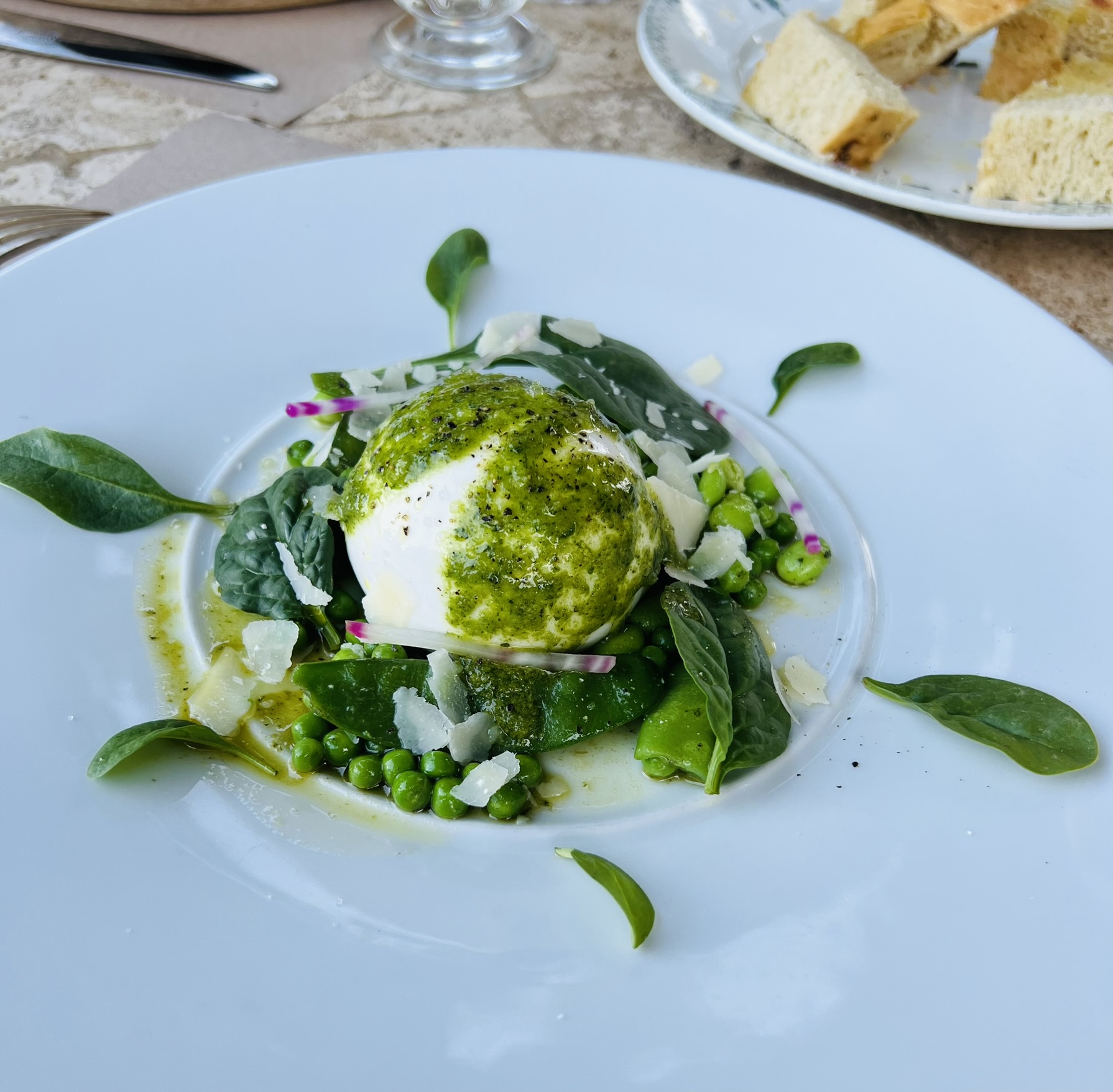 Green summer salad burrata
