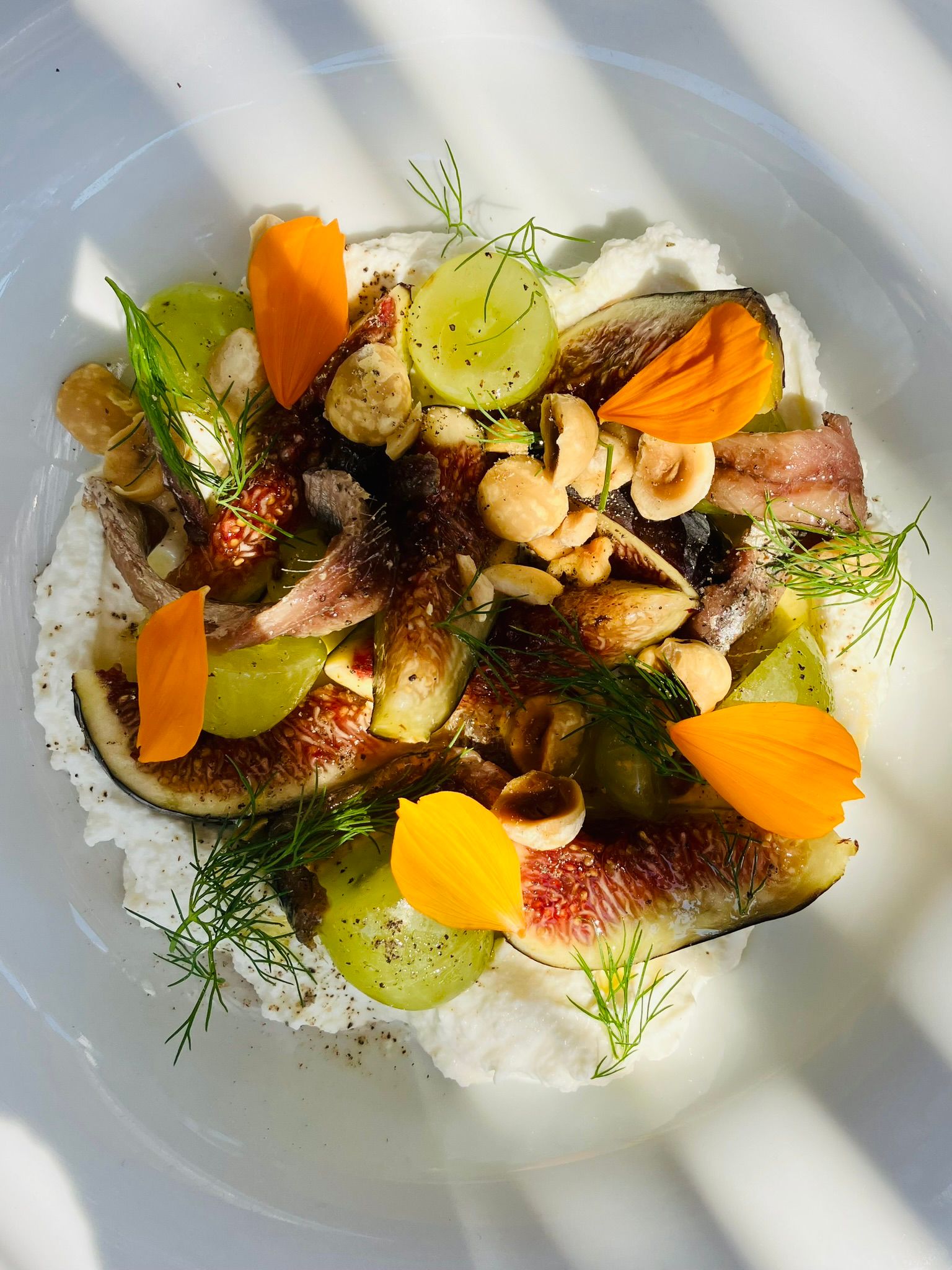 Ricotta, prunes & figs