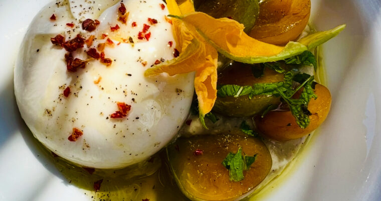 Burrata, prunes & zucchini flower